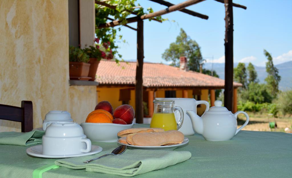 Agriturismo Rubinu Galtellì エクステリア 写真