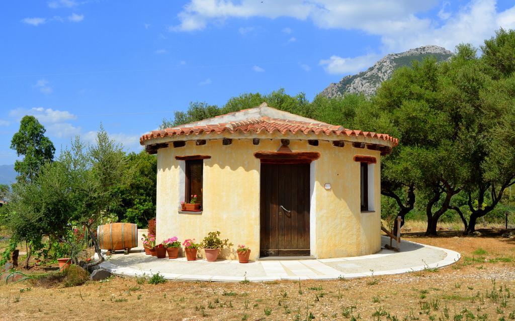 Agriturismo Rubinu Galtellì 部屋 写真