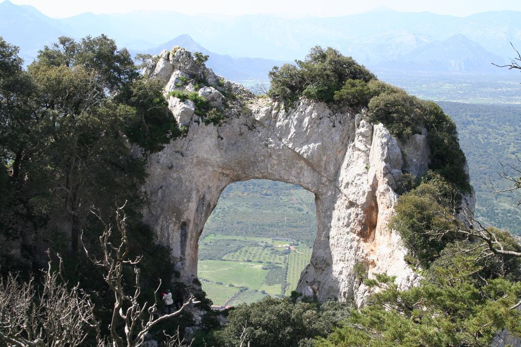 Agriturismo Rubinu Galtellì エクステリア 写真